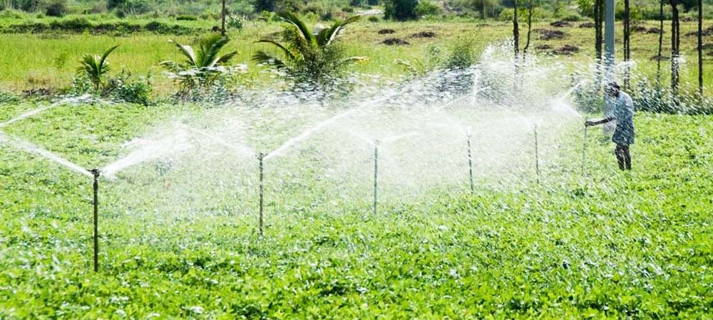 किसान ऐसे प्रधानमंत्री कृषि सिंचाई योजना का ले सकते हैं लाभ, पानी की बचत के साथ होगा अधिक उत्पादन