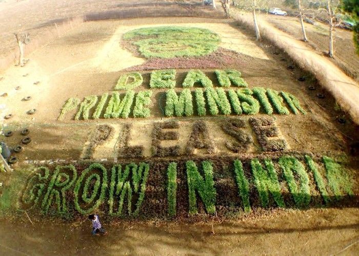 युवा किसानों ने खेत में उगाया ‘ग्रो इन इंडिया’ का संदेश