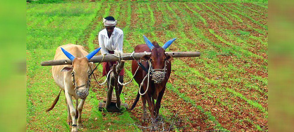किसानों को मिली बिचौलियों से मुक्ति, अब नहीं देनी होगी दलाली 