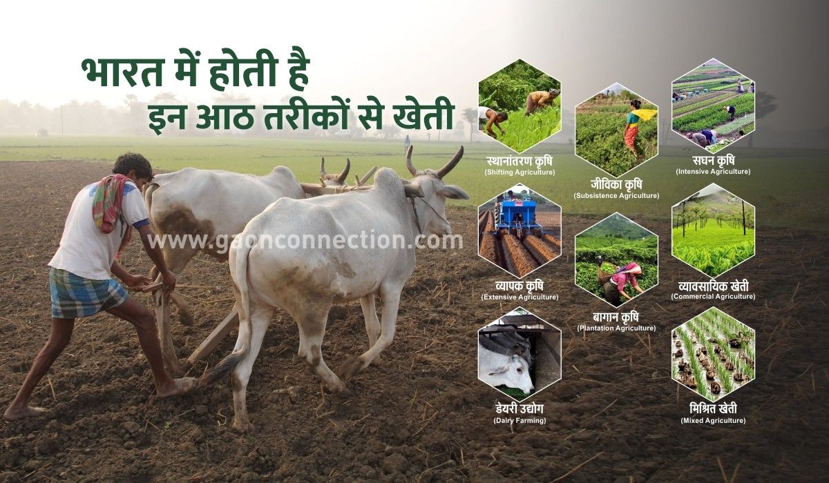 भारत में कृषि के ये हैं प्रचलित तरीके, देश भर के किसान करते हैं इस तरह खेती