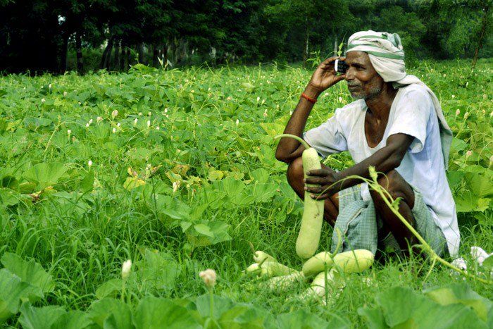 स्मार्ट फोन बदल सकते हैं भारतीय किसानों की किस्मत, लेकिन कैसे?