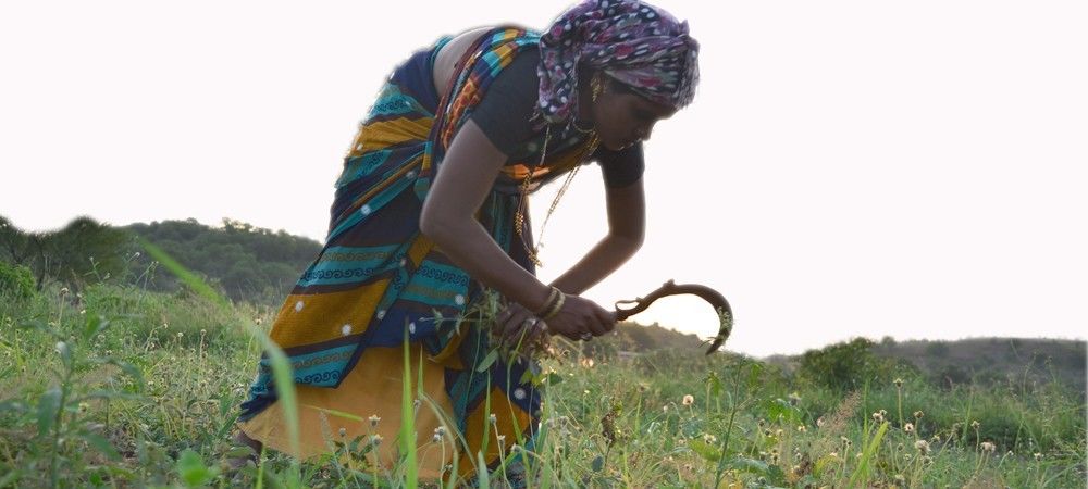 छह करोड़ महिला किसानों को मिल गया अपना दिन 