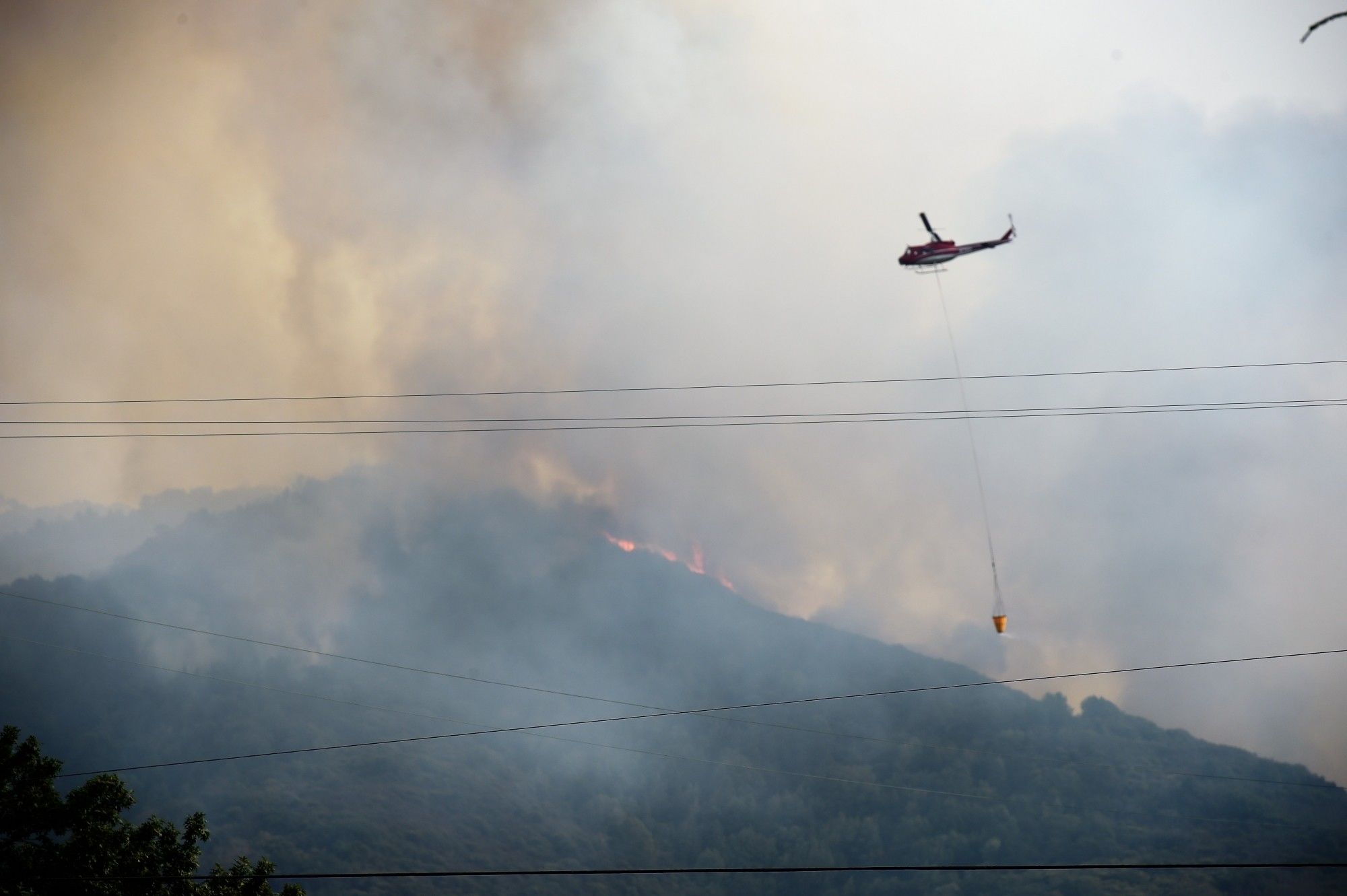 कैलिफोर्निया के जंगलों में आग से अब तक 17 मरे 