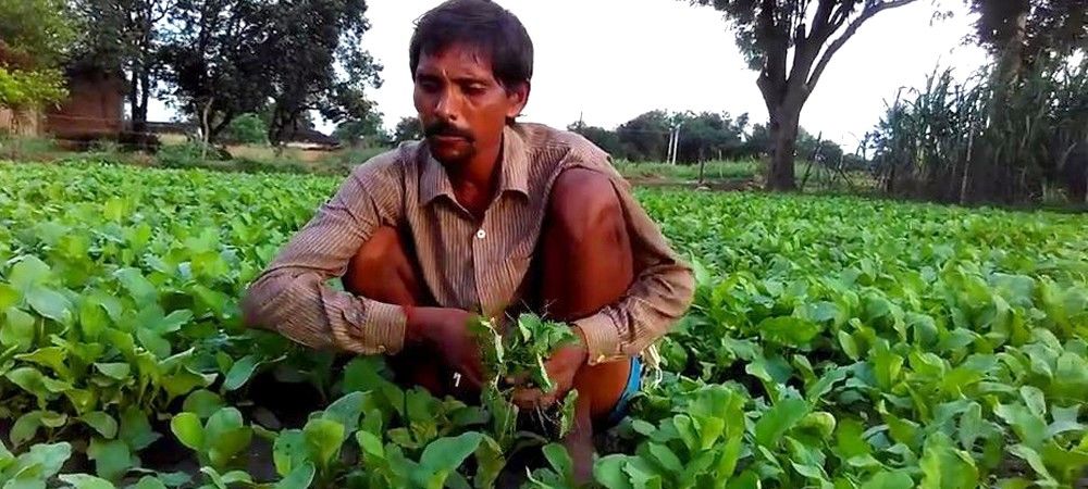 सब्जियों की खेती से मुनाफा कमा रहे बुंदेलखंड के किसान