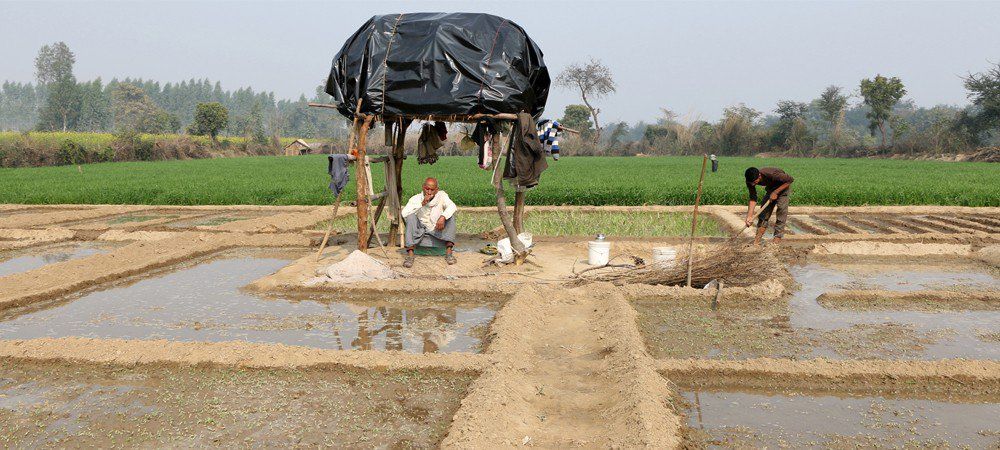 ‘किसानों को अधिक एमएसपी देने पर देश में महंगाई बढ़ने की आशंका’ 