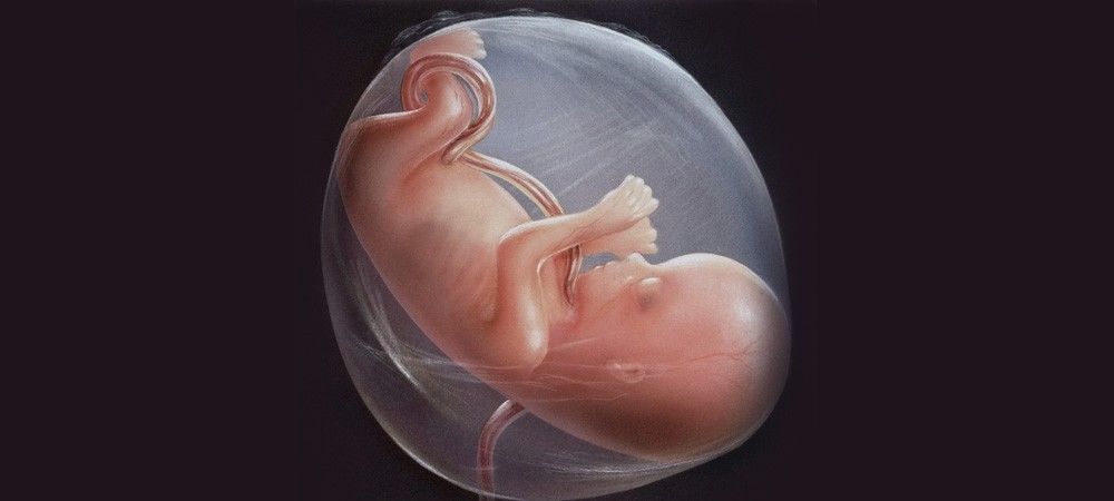 न्यायालय ने महिला को 27 सप्ताह का गर्भ गिराने की अनुमति देने से किया इनकार