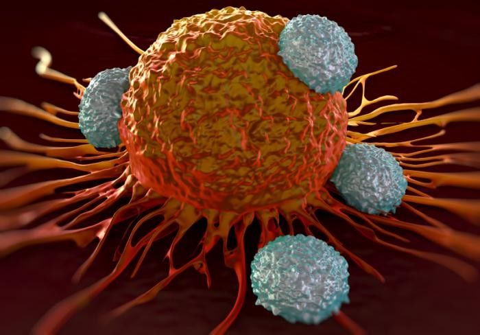 कैंसर कोशिकाओं का पता लगाने के लिए 3डी तकनीक विकसित