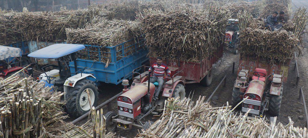 गन्ना ढुलाई भाड़े के नाम पर किसानों से धोखा  