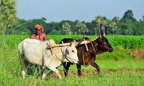 ‘कृषि निर्यात को बढ़ावा देने के लिए व्यापक नीति की तैयारी’