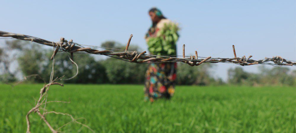 रोजाना ढाई हजार किसान खेती छोड़ने को मजबूर, जीएसटी के बाद क्या होगा     