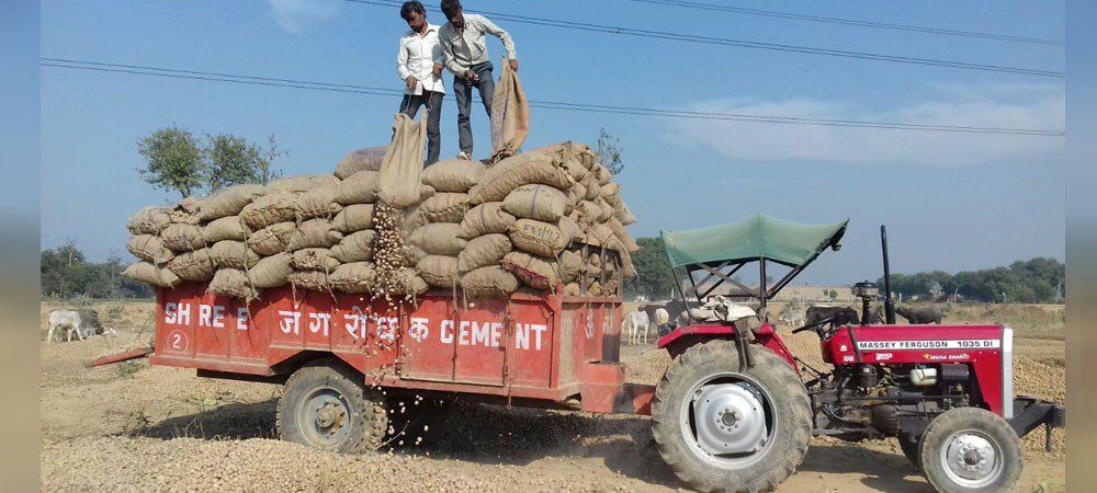यूपी में नए आलू का भी नहीं मिल रहा रेट, कन्नौज में किसान ने की आत्महत्या