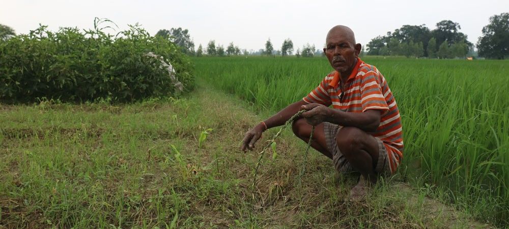 उन्नाव: चौदह हजार किसानों पर 75 करोड़ का कर्जा