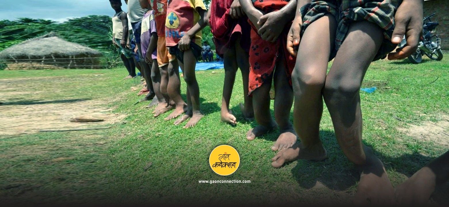 भारतीय ग्रामीण क्षेत्रों में फ्लोरोसिस के कारण करोड़ों लोगों को अक्षमता से बचाएगा जामुन 