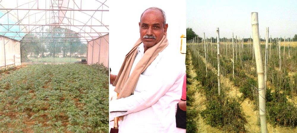 62 वर्ष के किसान चांद सिंह ने अपनाई खेती की नई तकनीकें और बने सब्जी रत्न