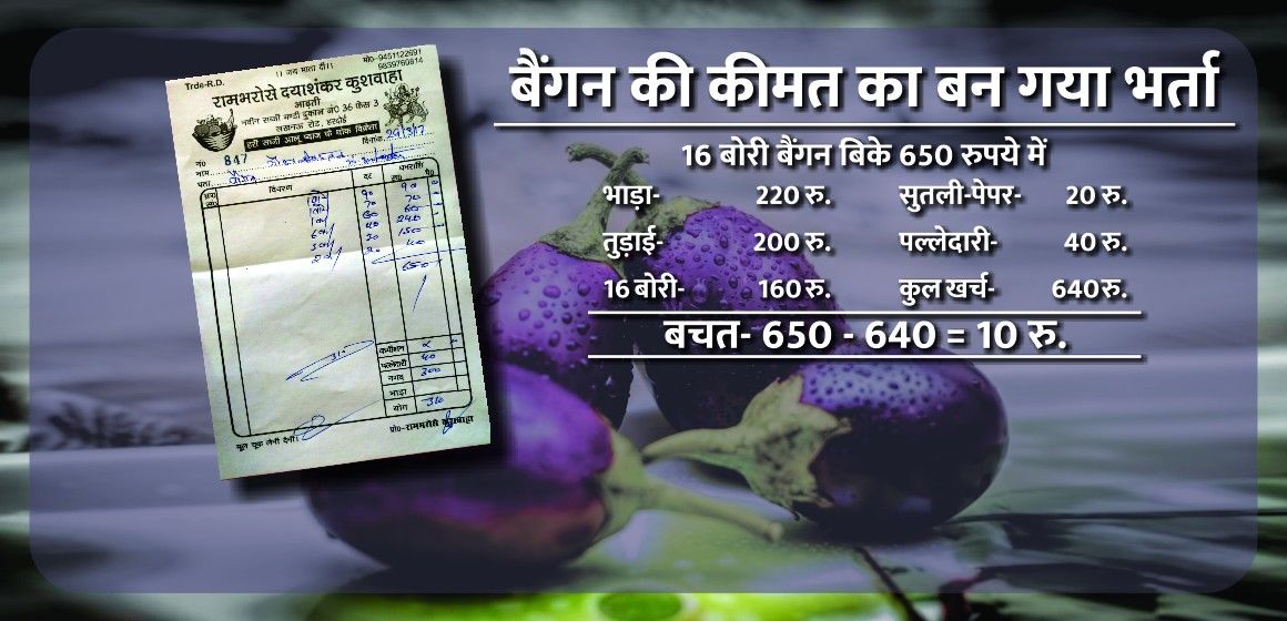 माटी मोल सब्जियां: एक बोरी बैंगन की कीमत सिर्फ 62 पैसे