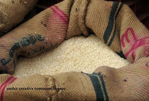 एफसीआई नंगी आँखों से बता रहा चावल में फंगस, लगी फटकार