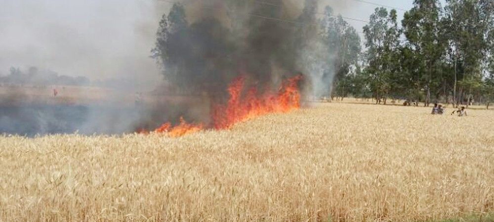 मोहनलालगंज में आग से कई बीघे गेहूं की फसल जलकर खाक, किसानों ने जल्द मुआवजे की मांग
