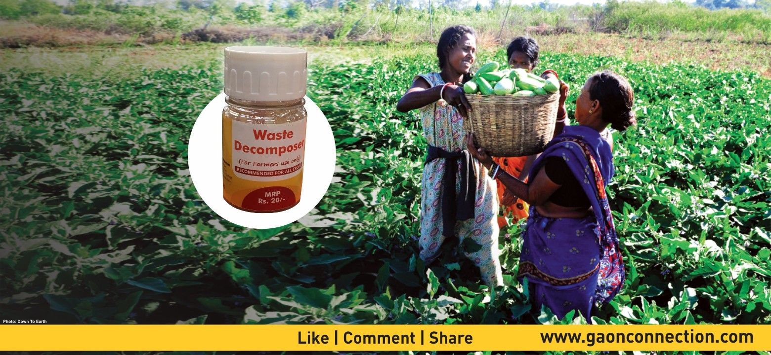 20 रुपए की ये ‘दवा’ किसानों को कर सकती है मालामाल, पढ़िए पूरी जानकारी