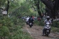 ‘वरदा’ तूफान से चेन्नई में तबाही, जंगल जैसा मंजर