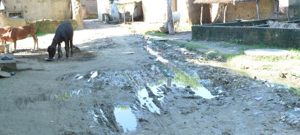 एक वर्ष से नहीं दिखा गाँव में सफाई कर्मी