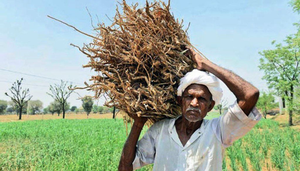 यूपी के 3000 खेत मजदूर नौ अगस्त को दिल्ली में योगी के खिलाफ करेंगे हल्लाबोल 