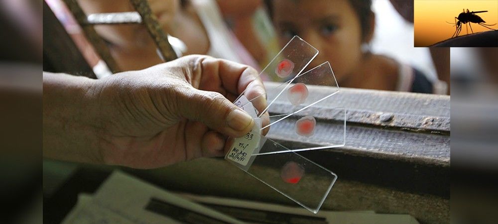 सावधान : एशिया में ‘सुपर मलेरिया’ पसार रहा पांव, भारत के लिए  नया खतरा,  जारी हुई चेतावनी