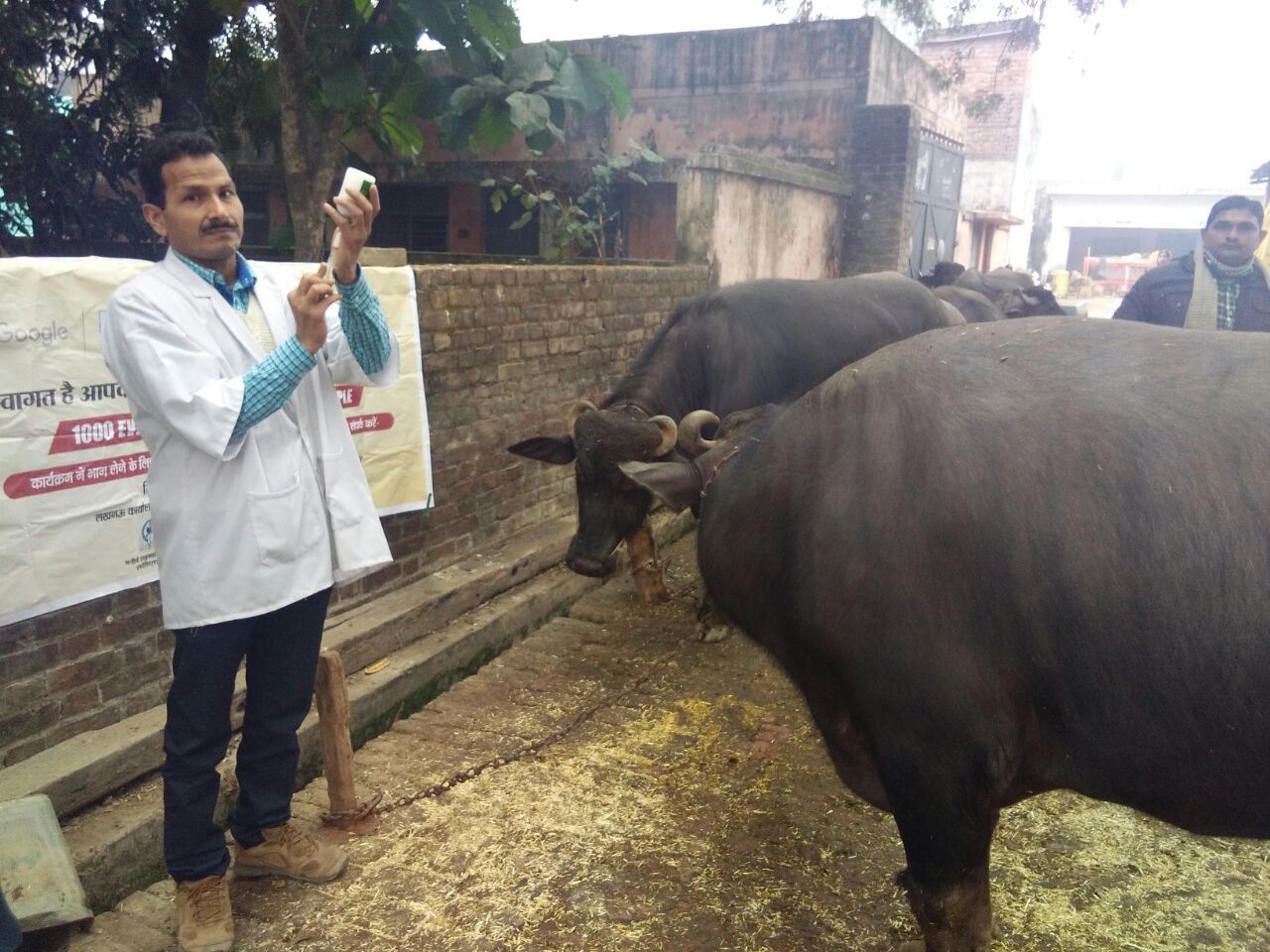 #स्वयंफ़ेस्टिवल: तीन ग्रामों के पशुओं को टीका लगाकर की गई रोगमुक्त रखने की कोशिश
