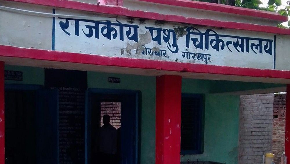 गोरखपुर में डॉक्टरों व फार्मासिस्टों को नहीं है परवाह, दर-दर भटकने को मजबूर हैं ग्रामीण