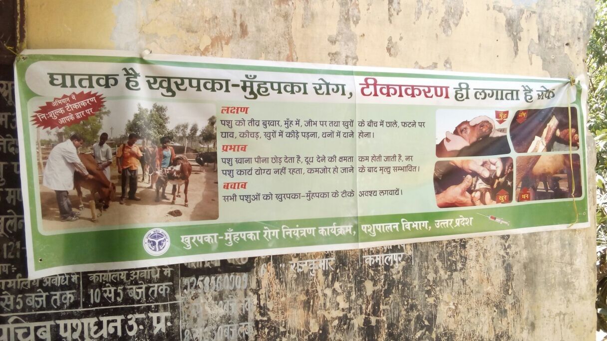 उत्तर प्रदेश में 15 मार्च से शुरू होगा खुरपका-मुंहपका टीकाकरण अभियान 