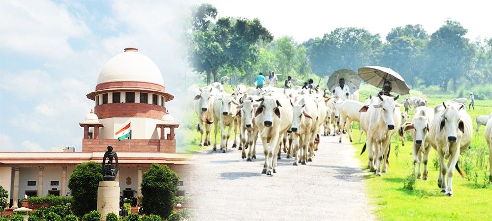 अब गायों का भी बनेगा ‘आधार’, सर्वोच्च न्यायालय ने दिया आदेश
