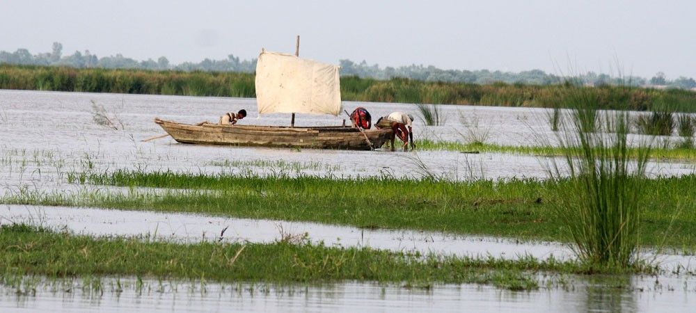 यूपी में बाढ़ ने बिगाड़ दिया कृषि विभाग का गणित, अब तक हजारों एकड़ फसल तबाह