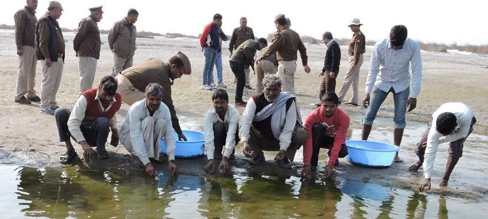ग्रामीणों ने दो हजार कछुए बचाकर गंगा नदी में छोड़े