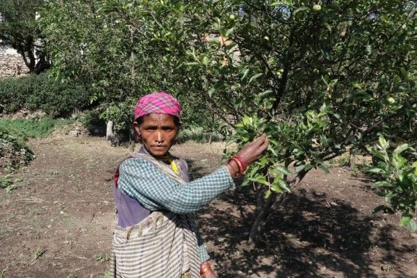 सेब की खेती इन महिलाओं में जगा रही जीवन जीने की उम्मीद