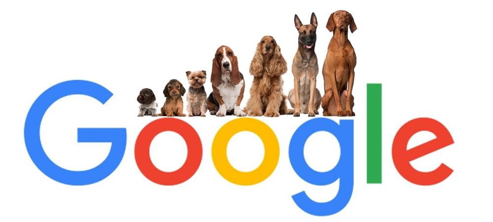 गूगल फोटोज अब आपके पालतू जानवरों को भी पहचानेगा