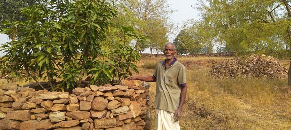 सूखे चित्रकूट में उम्मीद की हरियाली, बारह साल में गाँव में लगा दी बाग
