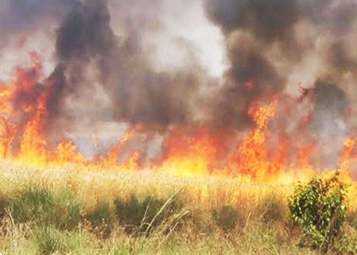 सरकार तक नहीं पहुंचती फसलों के जलने की आंच