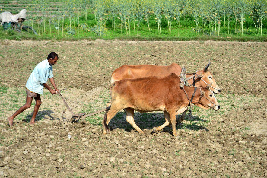 मोदी सरकार ने दी किसानों को बड़ी राहत, अब सिर्फ 4 फीसदी की दर से मिलेगा कर्ज़