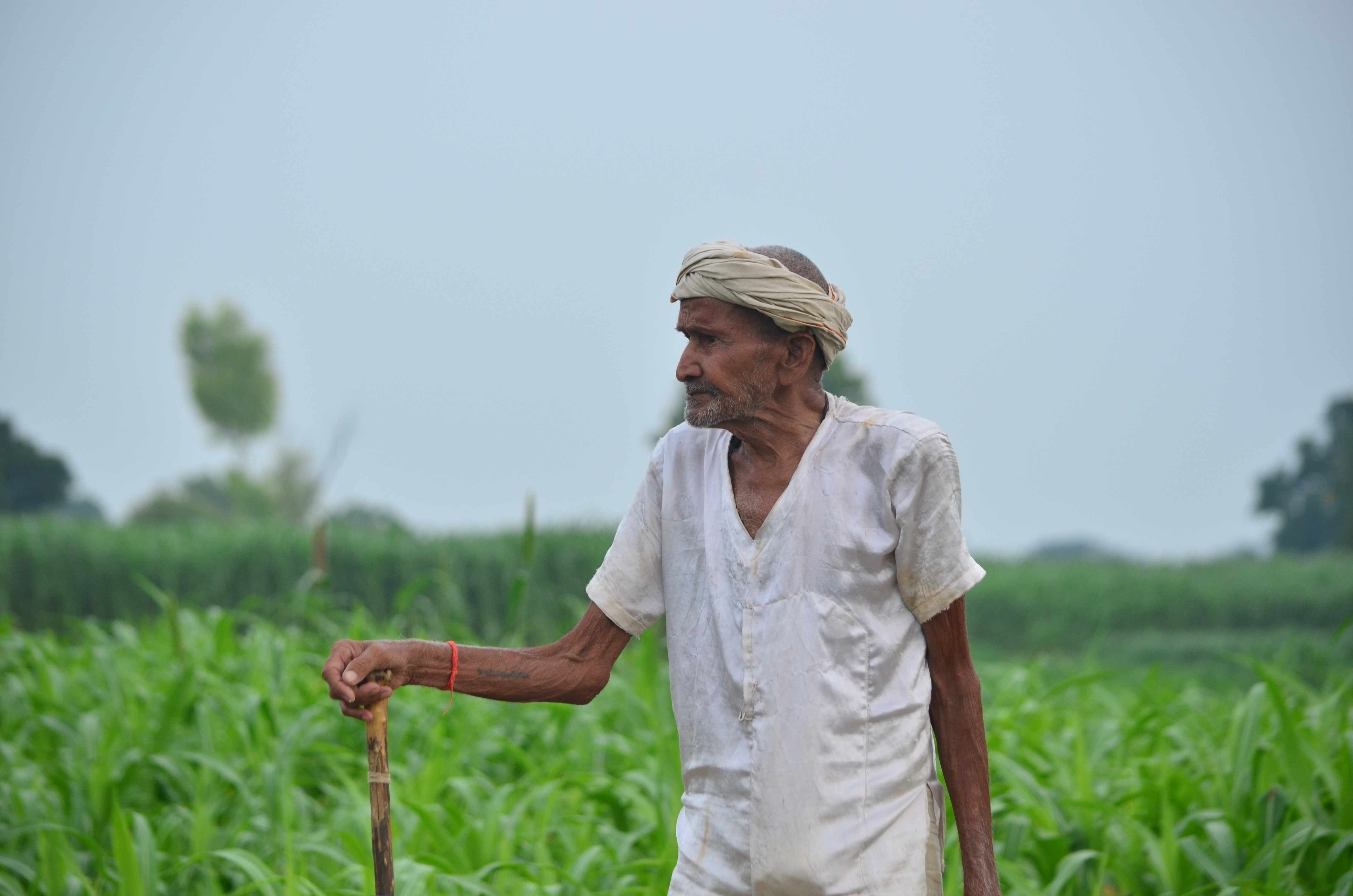 किसान तय करेंगे 2019 के चुनाव के बाद कौन बैठेगा गद्दी पर