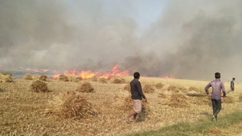 कानपुर, कन्नौज, सुल्तानपुर, उन्नाव और बाराबंकी में सैकड़ों बीघा फसल जलकर राख 