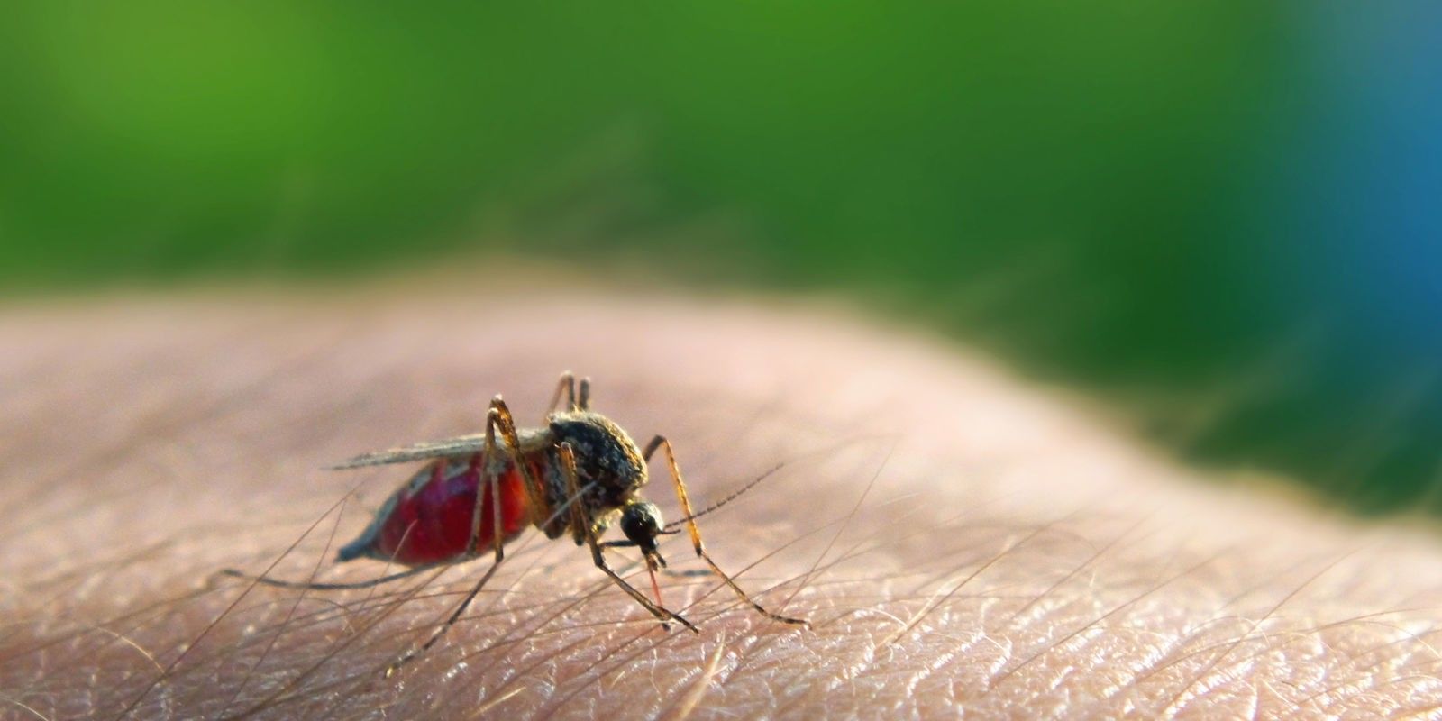 विश्व मलेरिया दिवस पर पढ़िए, साल 2030 तक मलेरिया को खत्म करना नहीं होगा आसान 
