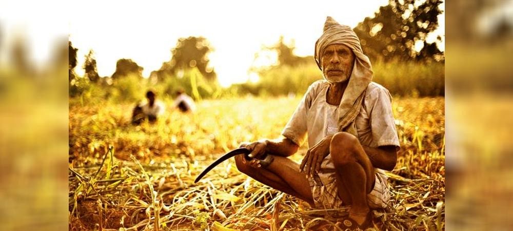 स्वयं फेस्टिवल: लखीमपुर में प्रगतिशील किसानों से जानेंगे खेती की उन्नत तकनीकें