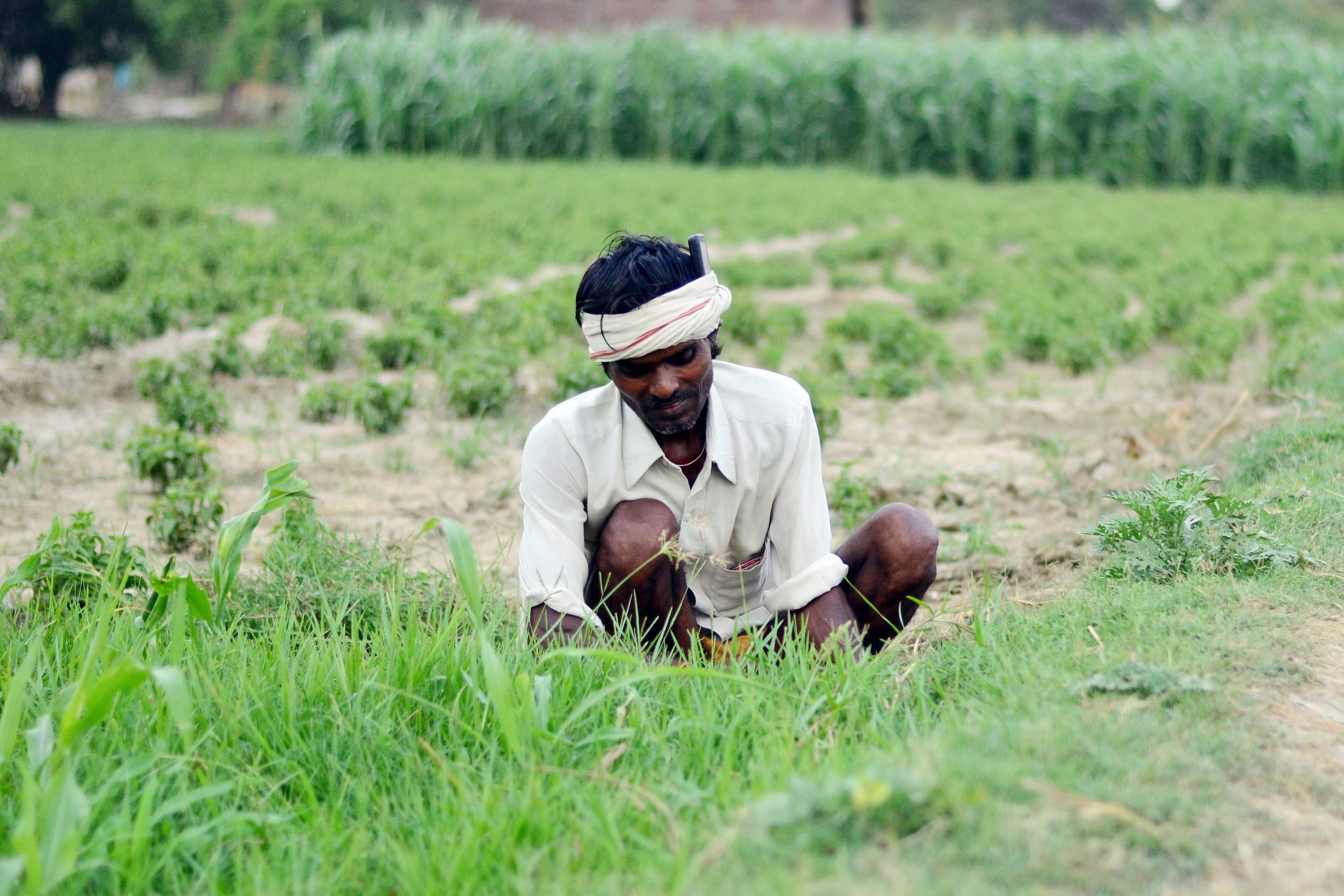 विश्व बैंक की जलवायु कार्य योजना से कृषि निवेशकों होगा फ़ायदा