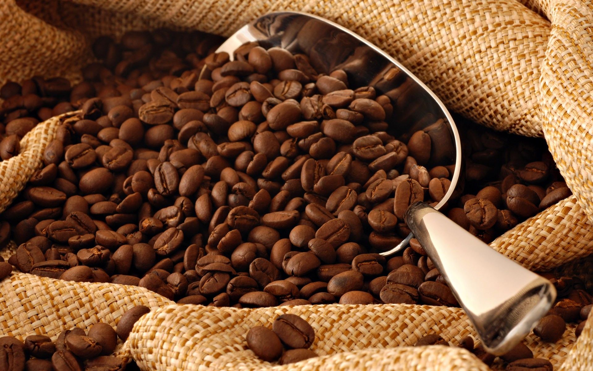 पिछले सात महीने में 18.6 प्रतिशत बढ़ा कॉफी निर्यात 