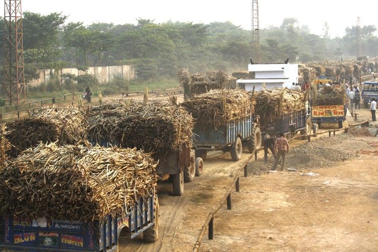 गन्ना किसानों को नरेंद्र मोदी सरकार ने दिया तोहफा
