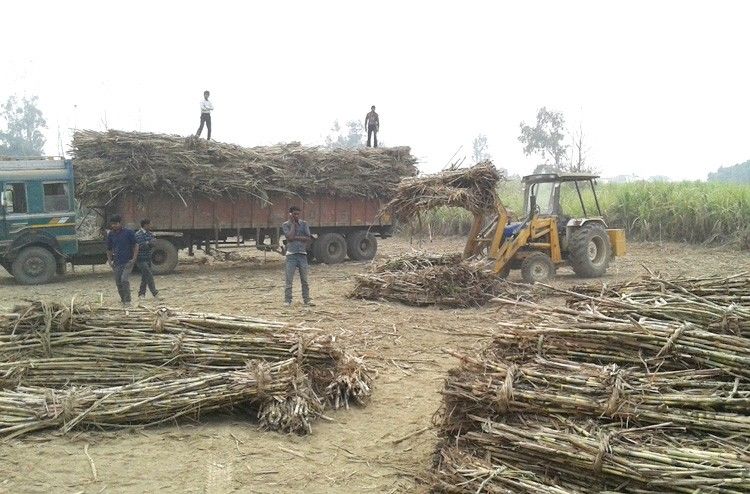 उत्तर प्रदेश के लखीमपुर की तीन चीनी मिलों ने किसानों को किया गन्ने के बकाये का भुगतान