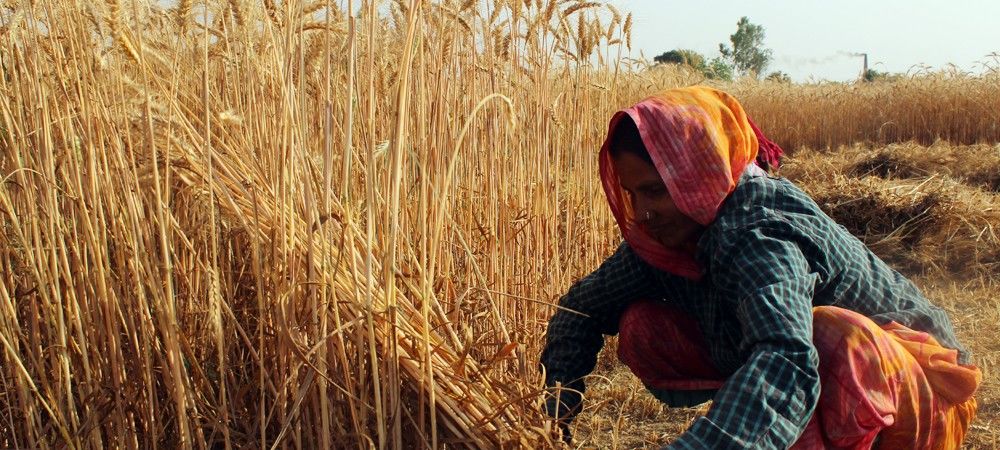 यूपी का 10 फीसदी बजट किसानों की कर्जमाफी को समर्पित 