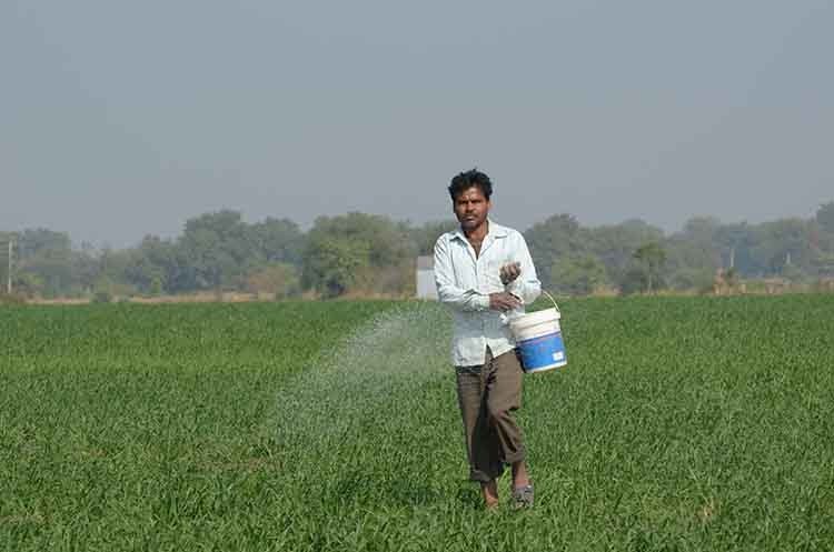 किसानों को सशक्त बना रही है सेव इंडियन ग्रेन