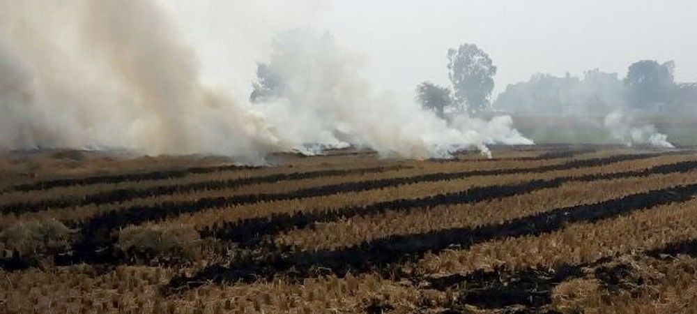 किसानों को नहीं पता फसल अवशेष जलाने का नुकसान