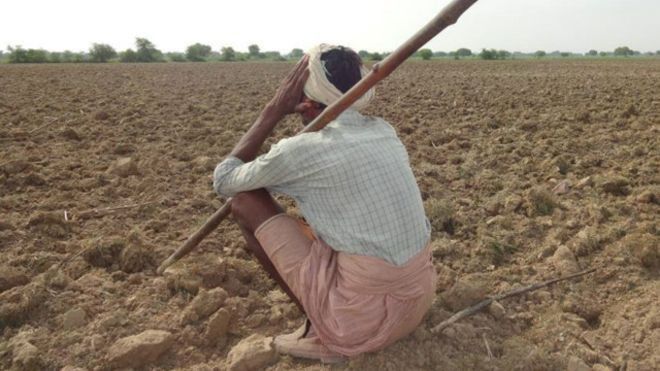 तमिलनाडु में  सूखे से लड़ रहे किसानों की तरफ सरकार क्यों नहीं देती ध्यान?