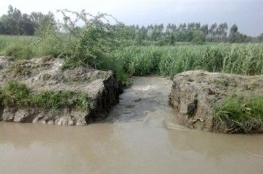नहर की पटरी काटने वाले किसानों के खिलाफ दर्ज होगा मुकदमा: सिंचाई मंत्री